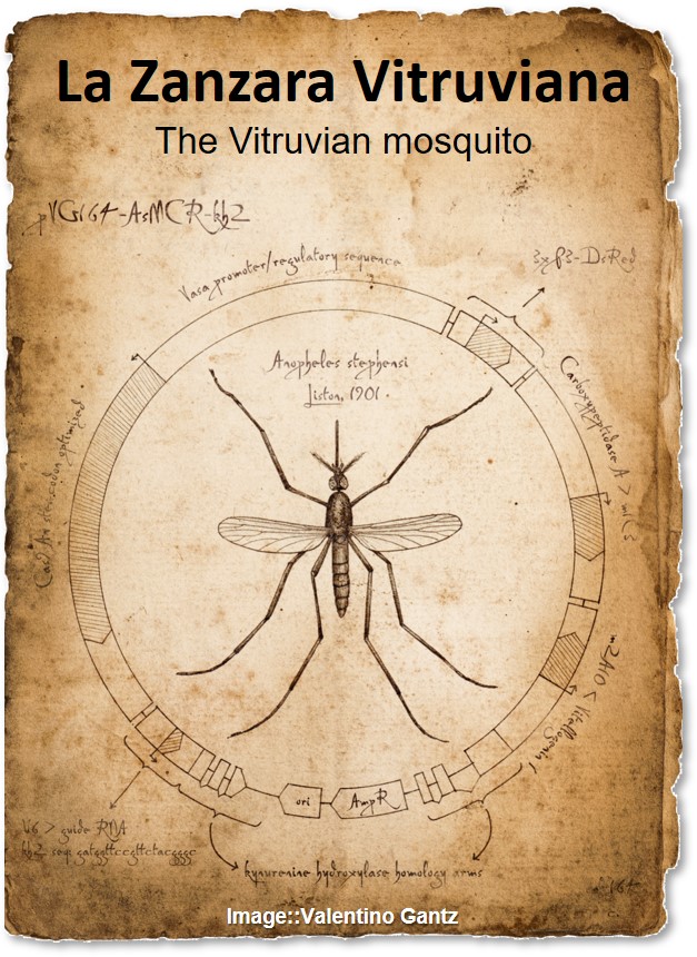 Mosquito-Leonardo.jpg